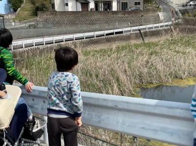 4月ブログ　池に散歩_210503_4