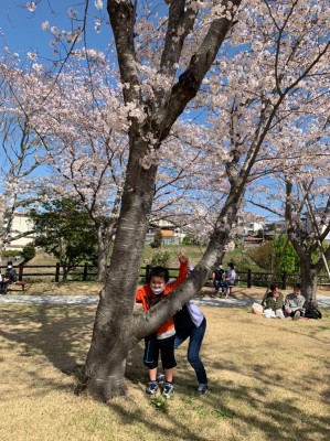 LINE_ALBUM_ブログ用　桜_220512_7