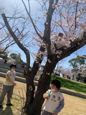 LINE_ALBUM_ブログ用　桜_220512_8